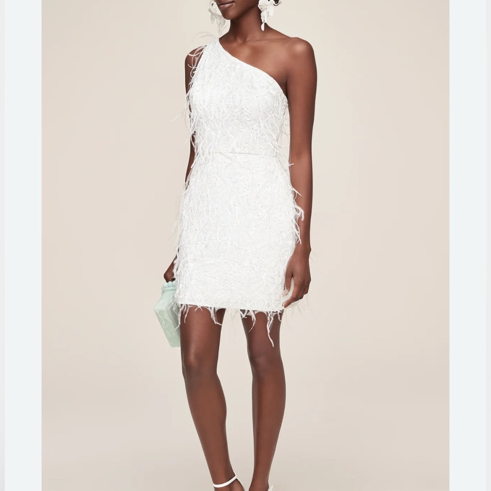 Anne Barge Twinkle in Time dress